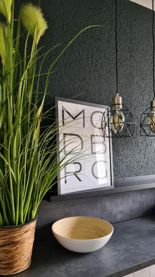Ferienwohnung, Monteurwohnung, Unterkunft Elise Magdeburg Luaran gambar